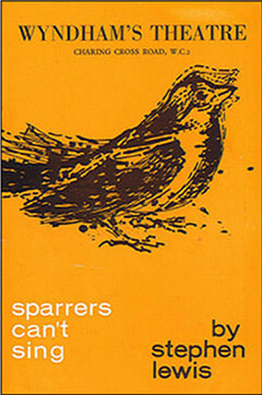 Wyndham's Theatre poster